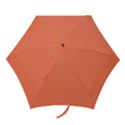 Appreciating Apricot Mini Folding Umbrellas View1