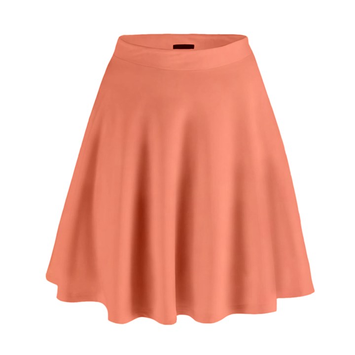 Appreciating Apricot High Waist Skirt