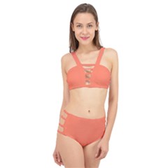 Appreciating Apricot Cage Up Bikini Set by Janetaudreywilson