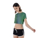 Green Blue Gradient Batik Tie Back Short Sleeve Crop Tee View2