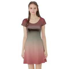 Tea Rose And Sage Gradient Ombre Colors Short Sleeve Skater Dress by SpinnyChairDesigns