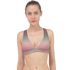 Tea Rose And Sage Gradient Ombre Colors Classic Banded Bikini Top by SpinnyChairDesigns