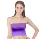 Plum and Violet Purple Gradient Ombre Color Tube Top View1