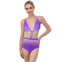 Plum and Violet Purple Gradient Ombre Color Tied Up Two Piece Swimsuit View1