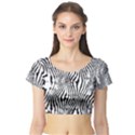 Zebra Print Stripes Short Sleeve Crop Top View1