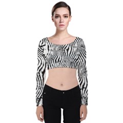 Zebra Print Stripes Velvet Long Sleeve Crop Top by SpinnyChairDesigns