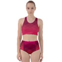 Hot Pink and Wine Color Diamonds Racer Back Bikini Set View1