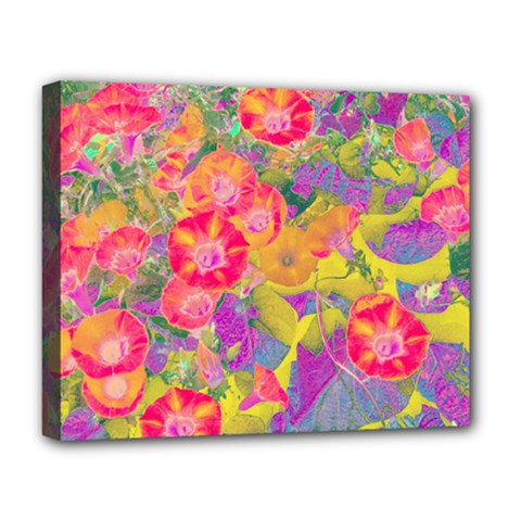 Red Liana Flower Deluxe Canvas 20  X 16  (stretched) by DinkovaArt