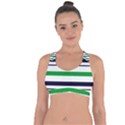 Green With Blue Stripes Cross String Back Sports Bra View1