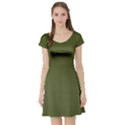 Army Green Color Ombre Short Sleeve Skater Dress View1