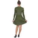 Army Green Color Ombre Long Sleeve Panel Dress View2