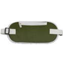 Army Green Color Ombre Rounded Waist Pouch View1