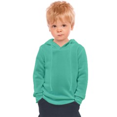 True Biscay Green Solid Color Kids  Overhead Hoodie by SpinnyChairDesigns