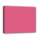 True Blush Pink Color Deluxe Canvas 20  x 16  (Stretched) View1