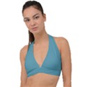 True Cadet Blue Teal Color Halter Plunge Bikini Top View1