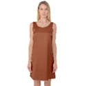 True Cinnamon Color Sleeveless Satin Nightdress View1