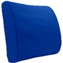 True Cobalt Blue Color Seat Cushion View2