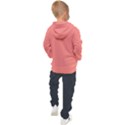 True Coral Pink Color Kids  Hooded Pullover View2