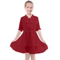 True Dark Red Color Kids  All Frills Chiffon Dress View1