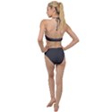 Dark Slate Grey Color Plunging Cut Out Swimsuit View2