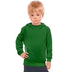 True Emerald Green Color Kids  Hooded Pullover by SpinnyChairDesigns