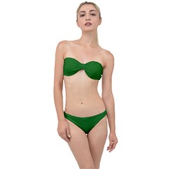 True Emerald Green Color Classic Bandeau Bikini Set by SpinnyChairDesigns