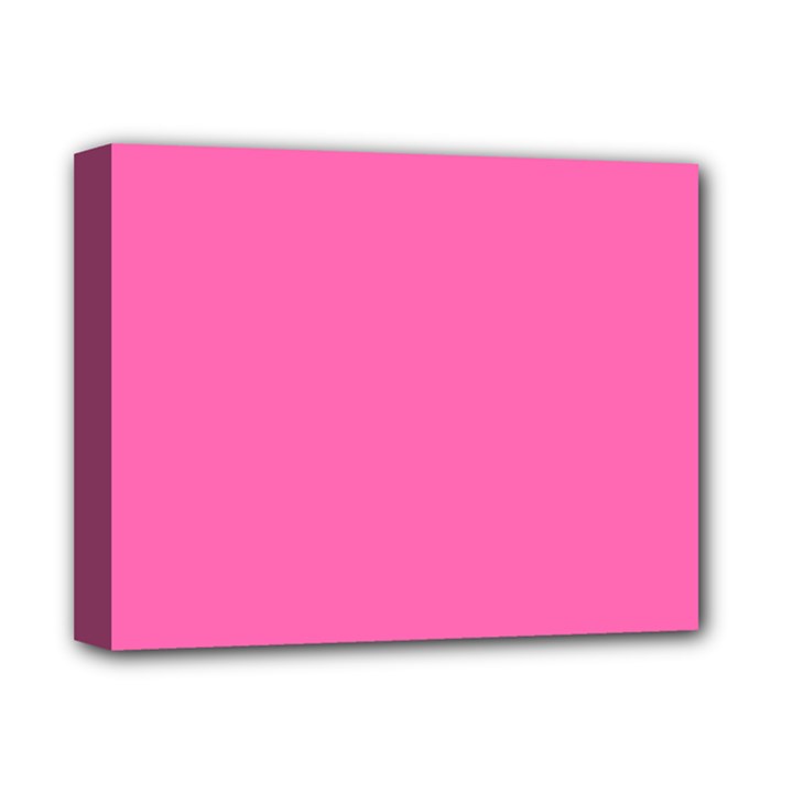 Hot Hollywood Pink Color Deluxe Canvas 14  x 11  (Stretched)