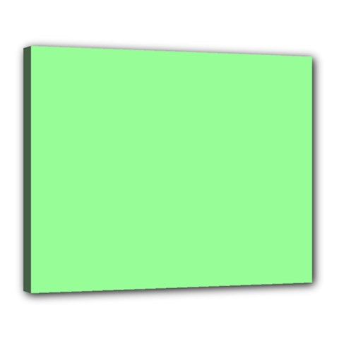 Mint Green Color Canvas 20  X 16  (stretched) by SpinnyChairDesigns