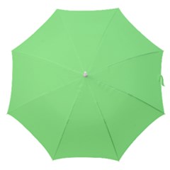 Mint Green Color Straight Umbrellas by SpinnyChairDesigns