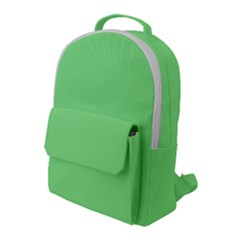 Mint Green Color Flap Pocket Backpack (large) by SpinnyChairDesigns