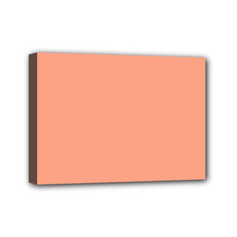 True Peach Color Mini Canvas 7  X 5  (stretched) by SpinnyChairDesigns