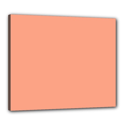 True Peach Color Canvas 24  X 20  (stretched) by SpinnyChairDesigns