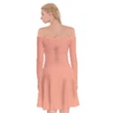 True Peach Color Off Shoulder Skater Dress View2