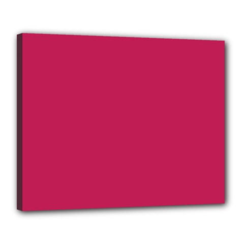 Rose Red Color Canvas 20  X 16  (stretched) by SpinnyChairDesigns