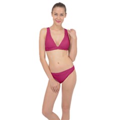 Rose Red Color Classic Banded Bikini Set  by SpinnyChairDesigns