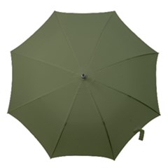 Sage Green Color Hook Handle Umbrellas (medium) by SpinnyChairDesigns