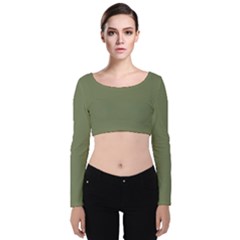 Sage Green Color Velvet Long Sleeve Crop Top by SpinnyChairDesigns