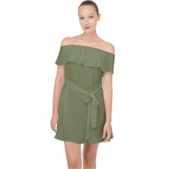 Sage Green Color Off Shoulder Chiffon Dress by SpinnyChairDesigns