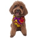 Colorful Boho Swirls Pattern Dog Sweater View1