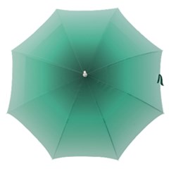 Biscay Green Gradient Ombre Straight Umbrellas by SpinnyChairDesigns