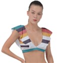 Classic Retro Stripes Plunge Frill Sleeve Bikini Top View1