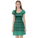 Biscay Green Ombre Short Sleeve Skater Dress View1