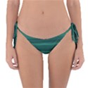 Biscay Green Ombre Reversible Bikini Bottom View1