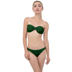 Emerald Green Ombre Classic Bandeau Bikini Set by SpinnyChairDesigns