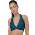 Teal Blue Ombre Halter Plunge Bikini Top View1