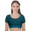 Teal Blue Ombre Velvet Short Sleeve Crop Top  View1