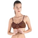 Cinnamon and Rust Ombre Tie Up Cut Bikini Top View1