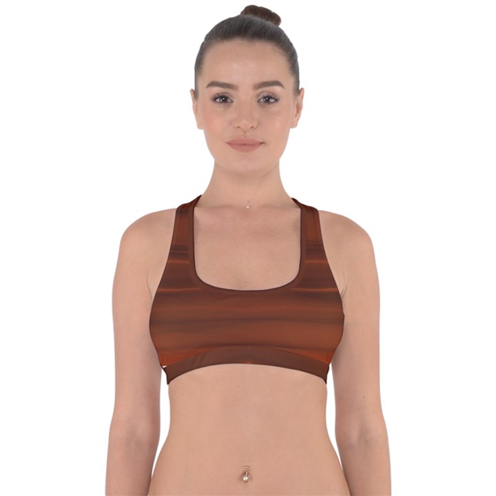 Cinnamon and Rust Ombre Cross Back Hipster Bikini Top 