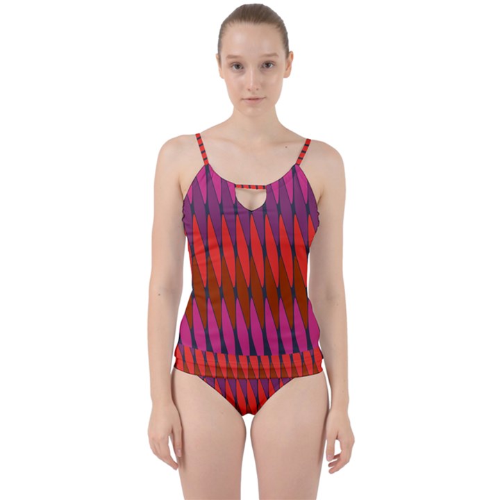 zappwaits raute 2 Cut Out Top Tankini Set