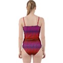 zappwaits raute 2 Cut Out Top Tankini Set View2